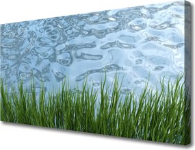 Obraz canvas Świeżość Trawy nad Brzegiem