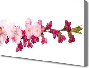 Zdjęcie na płótnie Delikatna Gałązka Kwitnącej Wiśni