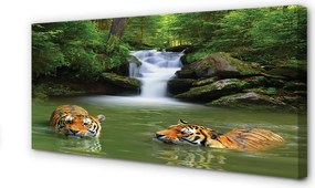Duży obraz na płótnie Tygrysy przy Wodospadzie