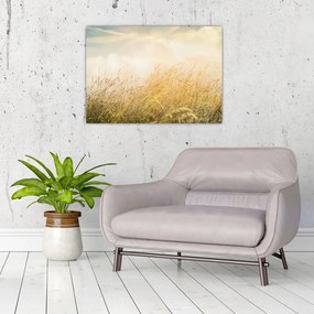 Obraz - Pole jesienią (70x50 cm)
