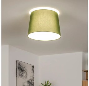 Brilagi - LED Przysufitowy żyrandol CERIA 1xE27/40W/230V śr. 30 cm zielony