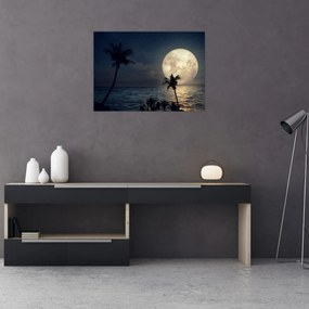 Obraz na szkle - Plaża przy pełni księżyca (70x50 cm)