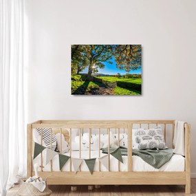 Obraz na szkle - widok pola (70x50 cm)