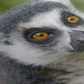 Obraz lemura (170x50 cm)