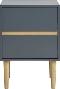 Stolik Nocny Bisley, Szary, 35x40x55 cm, Kendra Home