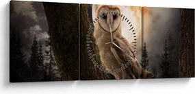 Obraz sowy palonej (z zegarem) (90x30 cm)