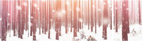 Obraz - Zebra w śnieżnym lesie (170x50 cm)