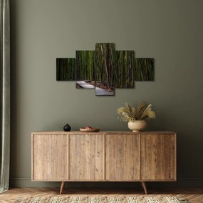 Obraz - Wśród bambusów (125x70 cm)