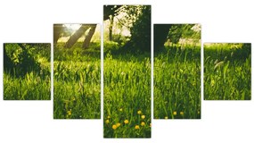 Obraz natury - łąka (125x70 cm)