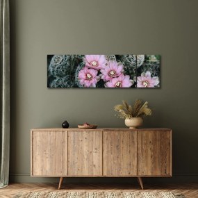 Obraz kwiatu kaktusa (170x50 cm)