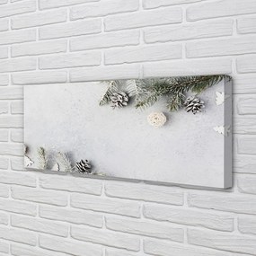 Obraz na płótnie Gałązki i Szyszki