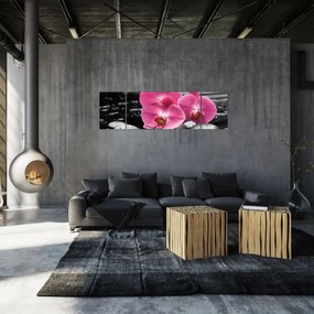 Obraz - Różowe orchidee (170x50 cm)