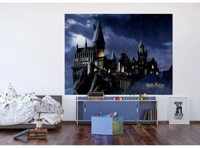 Fototapeta dziecięca Harry Potter 252 x 182 cm, 4 części