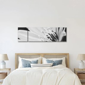 Obraz - Czarno-biały kwiat (170x50 cm)