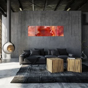 Obraz - Profil twarzy kobiety (170x50 cm)