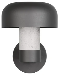 Zewnętrzna lampa ścienna (wysokość 24,5 cm) Fraser – Trio
