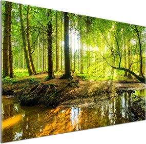 Panel do kuchni Sadzawka w lesie