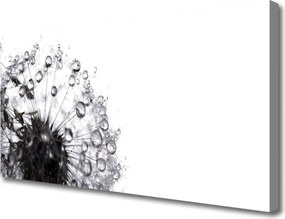 Obraz na płótnie Puszysty Mniszek Lekarski