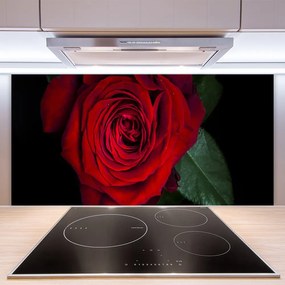 Panel Szklany do Kuchni Elegancka Róża W Zbliżeniu