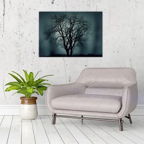 Obraz na szkle - drzew podczas zaćmienia (70x50 cm)