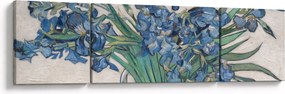 Obraz - Vincent van Gogh, Irises, reprodukcje (170x50 cm)