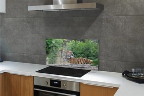 Szklany Panel Tygrys w Sercu Lasu