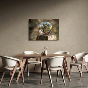 Obraz na szkle - Odbicie w szklanej kuli (70x50 cm)