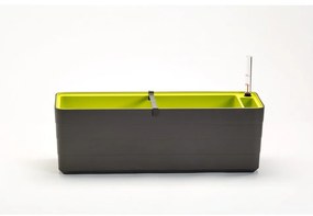Plastia Skrzynka samonawadniająca Berberis 60, antracyt + zielony, 60 cm