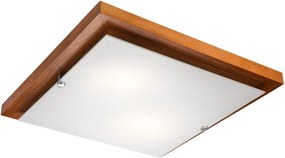 Plafon LED/24W/230V buk