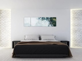 Obraz palmy nad morzem (170x50 cm)
