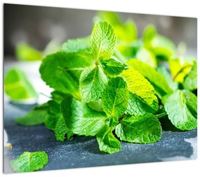 Obraz na szkle mięty (70x50 cm)