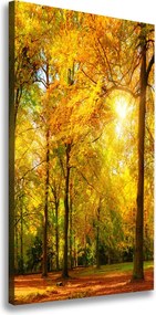 Foto obraz canvas pionowy Las jesienią
