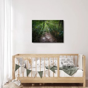 Obraz na szkle - Promienie słońca w dżungli (70x50 cm)