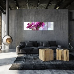 Obraz - bukiet tulipanów (170x50 cm)