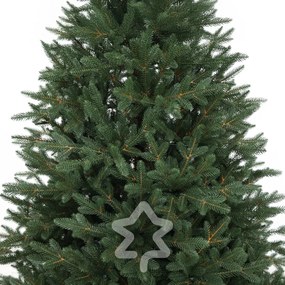 Świerk kanadyjski 100% 150 cm