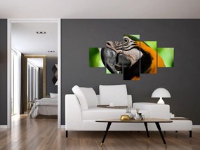 Obraz papugi (125x70 cm)