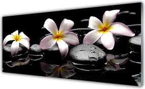 Panel Szklany do Kuchni Kwiat Na Gładkich Kamieniach