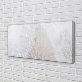 Fotoobraz na płótnie Abstrakcyjny Motyw Dmuchawca