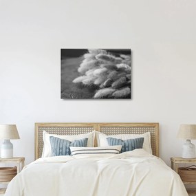 Obraz na szkle - trawa z króliczym ogonkiem na stole (70x50 cm)