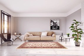 Dywan Klasyczny Venezia Orient Kremowy 160 cm x 230 cm