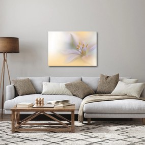 Obraz - Delikatny kwiat (70x50 cm)