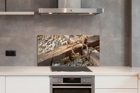 Szklany Panel Krzyż, Skały i Ciernie