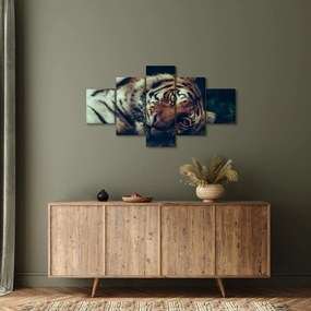 Obraz - tygrys syberyjski (125x70 cm)