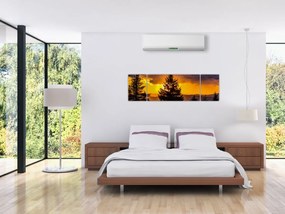 Obraz - drzewa iglaste (170x50 cm)
