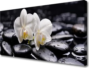Obraz canvas Harmonia Kamieni i Kwiatów
