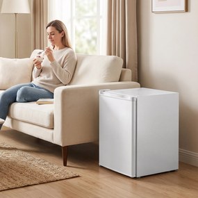 HOMCOM Mini-zamrażarka 59 l, zamrażarka stołowa, wymienny zawias drzwi, wyjmowane półki, regulacja temperatury, Biały | Aosom PL