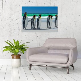 Obraz na szkle - Grupa Pingwinów królewskich (70x50 cm)