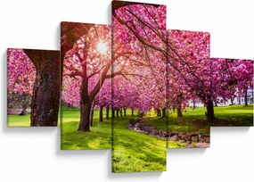 Obraz kwitnących czereśni, Hurd Park, Dover, New Jersey (125x70 cm)