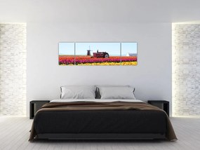 Obraz farmy tulipanów (170x50 cm)