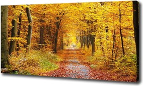 Duży Foto obraz na płótnie Las jesienią